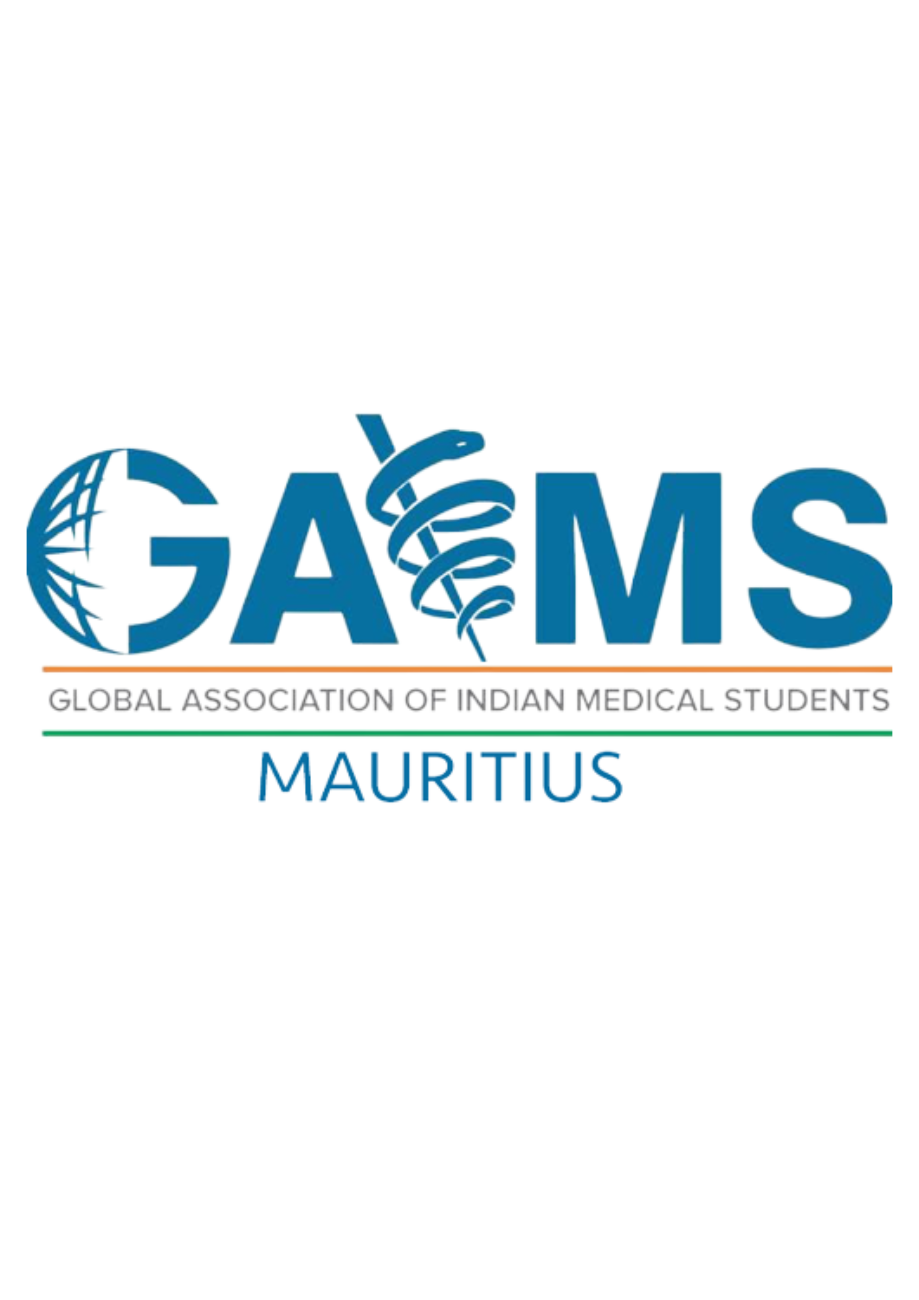 GAIMS 