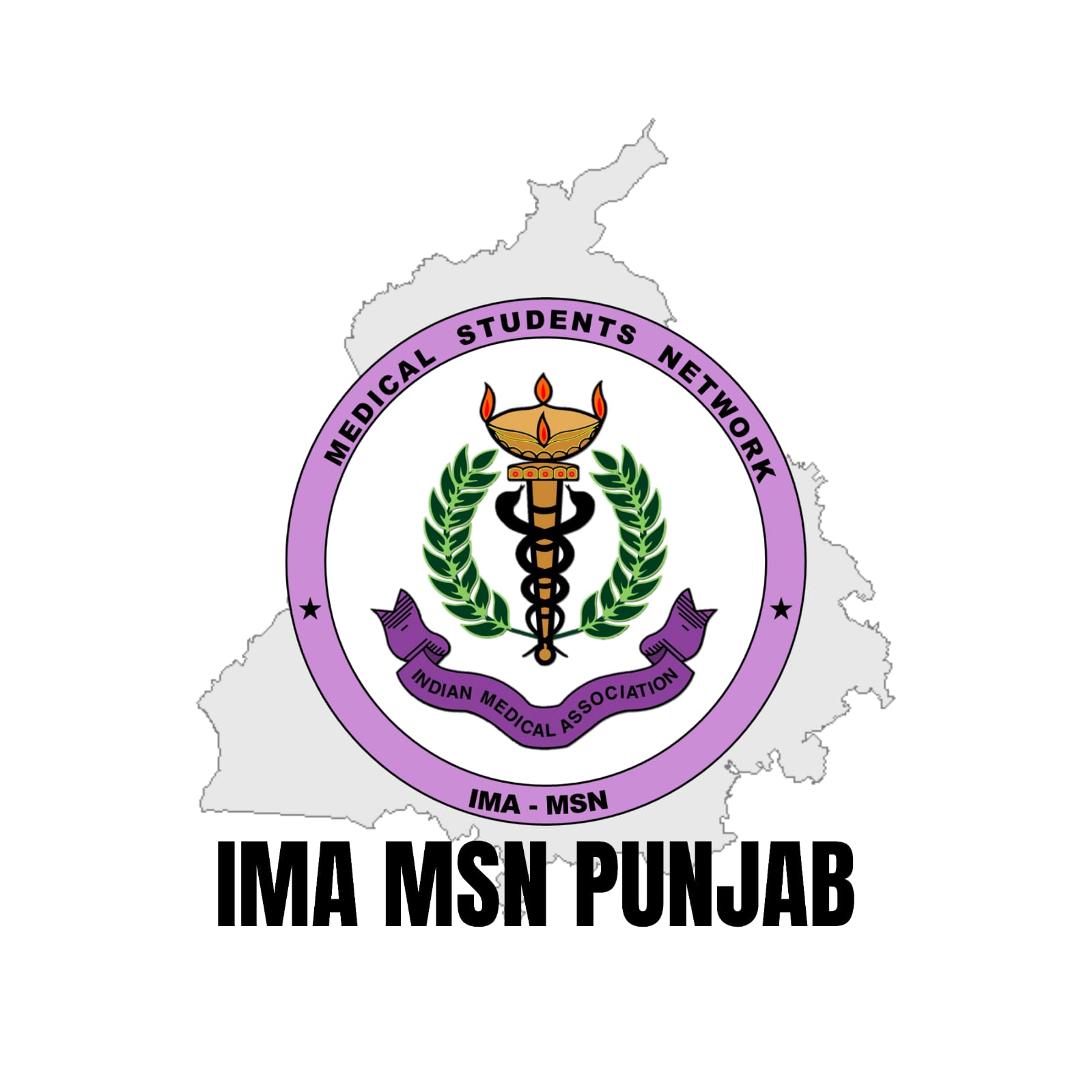 INDIAN MEDICAL ASSOCIATION MEDICAL STUDENTS NETWORK - PUNJAB