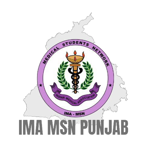 MSN Punjab