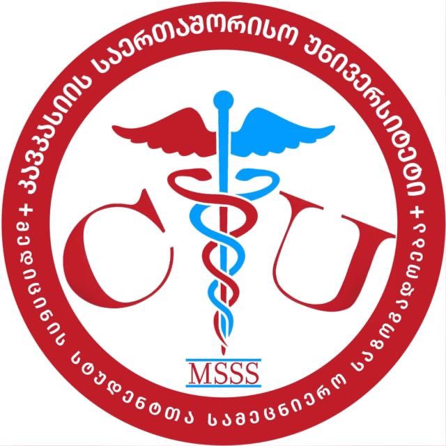 MSSS logo