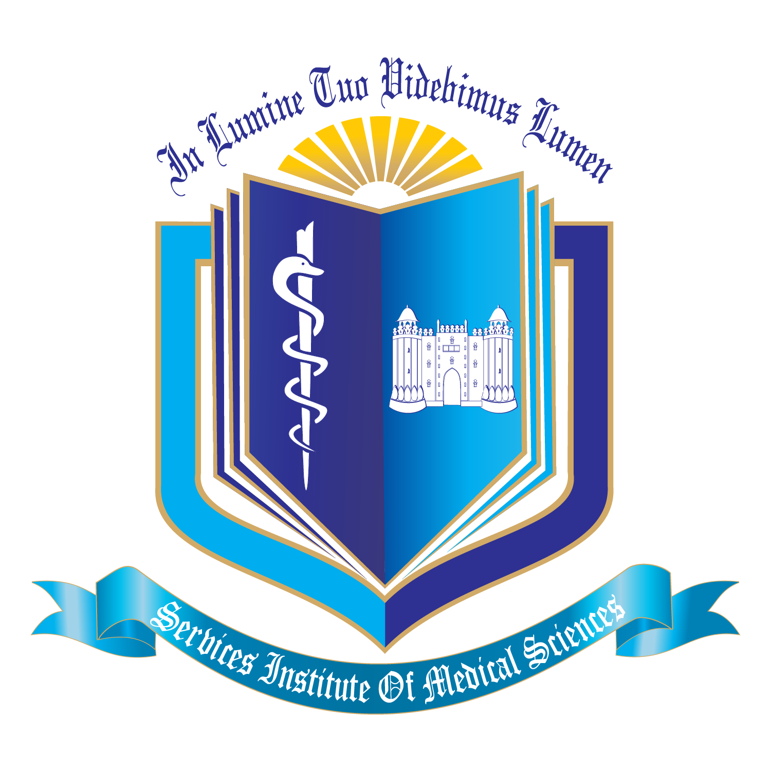 SIMS Logo-01